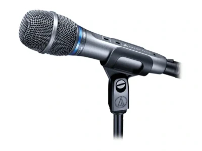 AE3300 Cardioid Condenser Handheld Microphone
