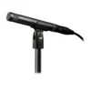 AT2031 Cardioid Condenser End Address Microphone