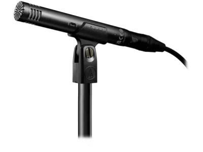 AT2031 Cardioid Condenser End Address Microphone