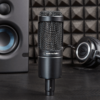 AT2035 Cardioid Condenser Microphone - Image 3