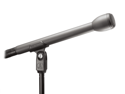 AT8004L Omnidirectional Dynamic Microphone With Extended Handle