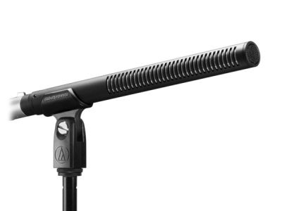 BP4029 Stereo Shotgun Microphone
