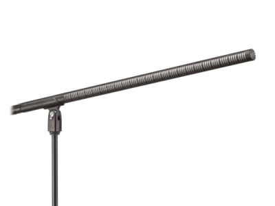 BP4071L Line + Gradient Condenser Microphone